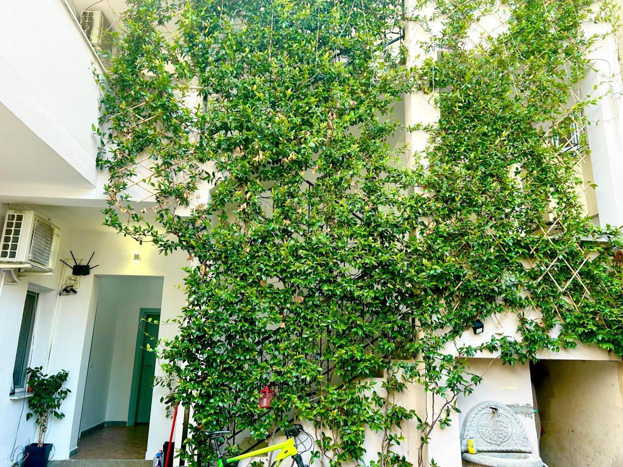 Budget Retreat Tirana & Studios Eksteriør bilde